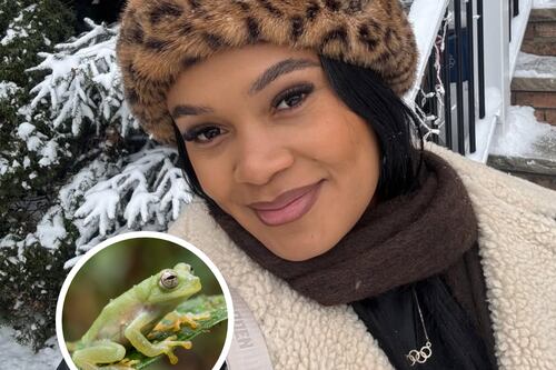 Neisi Dajomes trasciende el podio: una nueva especie de rana en Ecuador lleva su nombre y celebra su legado