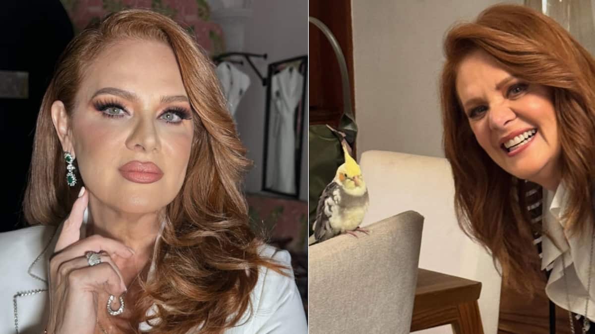 Erika Buenfil se llevó los aplausos por este video.