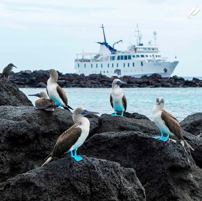 Islas Galápagos