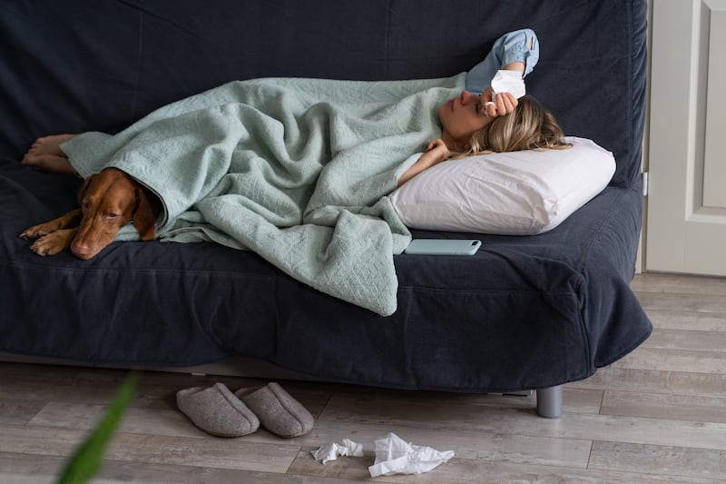 Siestas