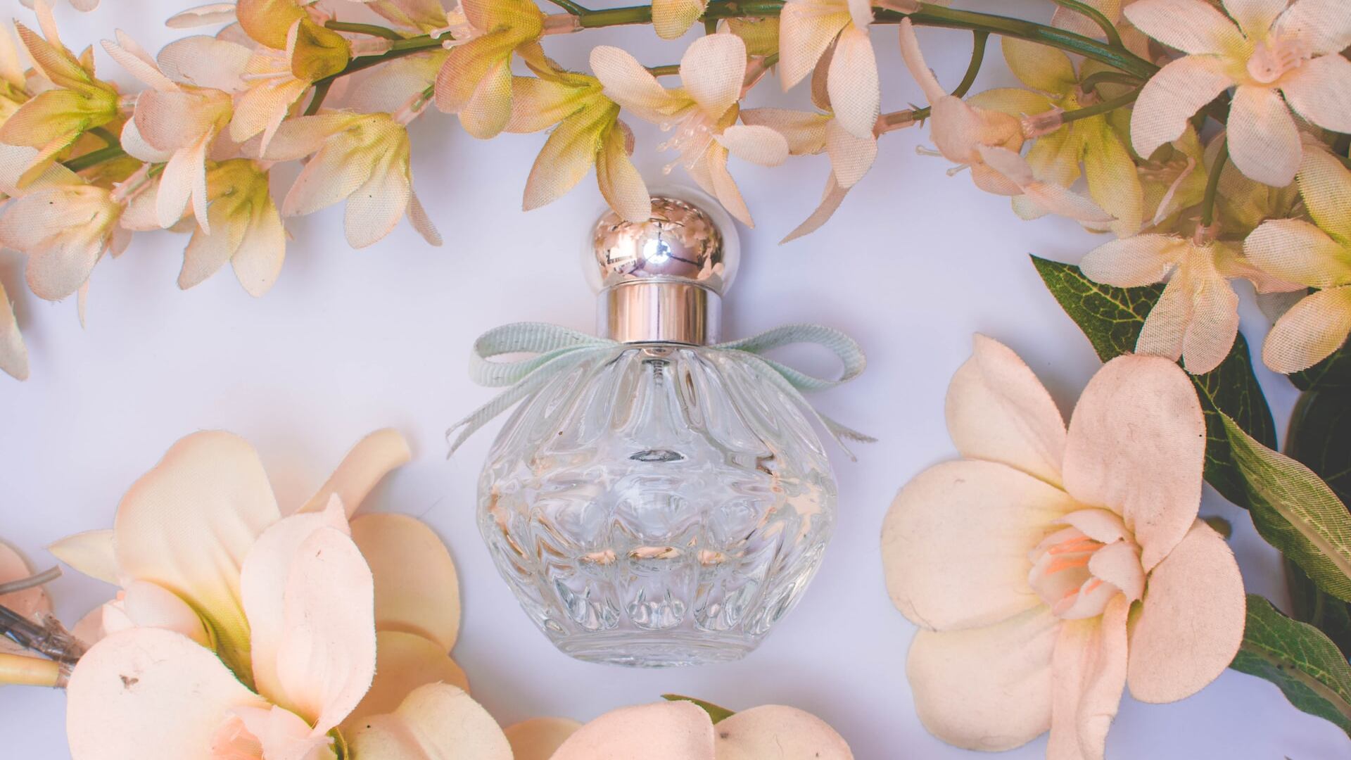 perfumes femininos nacionais mais vendidos em 2022