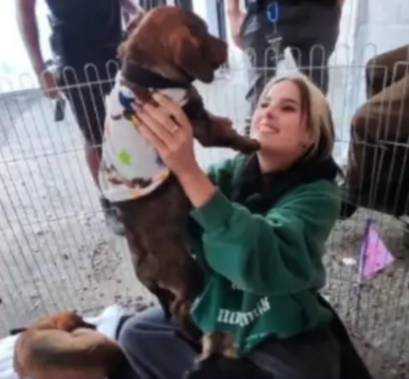 @camiloenaccionanimal