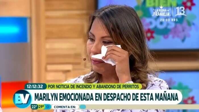 Un sorpresivo inicio de semana tuvo el matinal “Tu día”, de Canal 13, que pese a haberse consolidado estas últimas semanas como la tercera alternativa de audiencia, por debajo de los franjeados de CHV (“Contigo en la mañana”) y Mega (“Mucho Gusto”), sumó su primera baja en el nuevo ciclo conducido por Priscilla Vargas y José Luis Reppening.