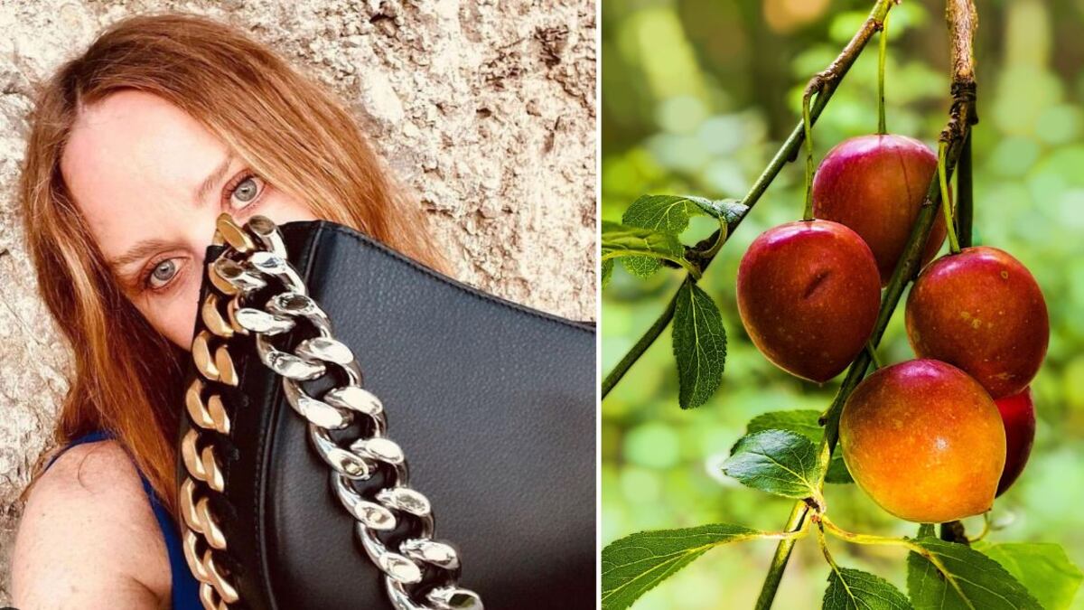 En su lucha por el medioambiente, Stella McCartney innovó con una nueva propuesta para que sus diseños sean aún más ecológicos.