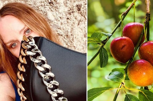 ¡Adiós piel! Moda hecha ¿con manzanas? famosa diseñadora fabricó así el cuero de sus bolsos