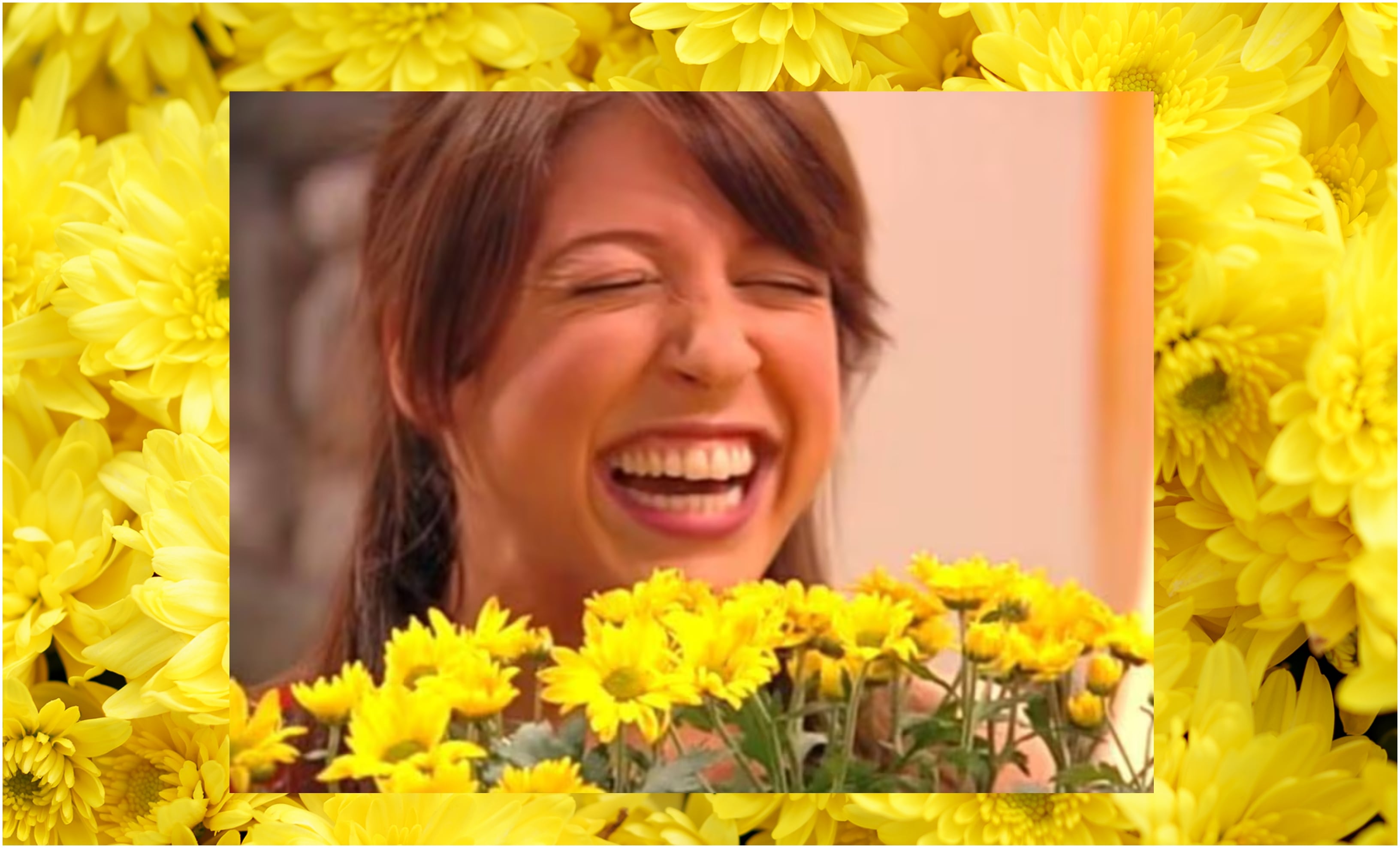 Regalar flores amarillas ya se ha convertido en una tradición