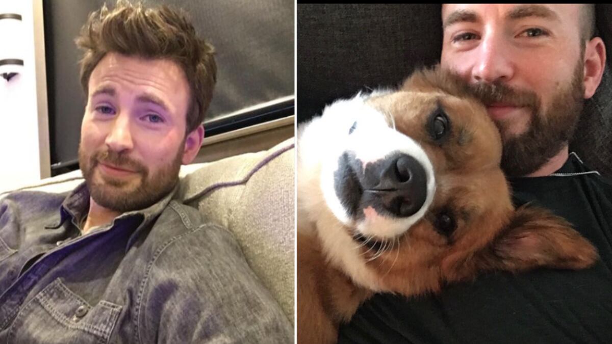 Chris Evans no es solo guapo, sino sexy y humilde.