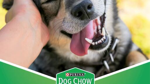 Campaña ¡Juntos apoyamos más! Nestlé y Almacenes Tía