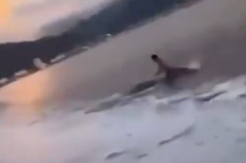 ¡Por poco! Turista se salva de ser atacado por un cocodrilo en Puerto Vallarta, México