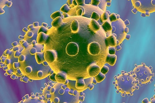 ¿Cuándo se acaba el coronavirus? Universidad de Singapur proyecta las fechas en que la pandemia finalizará en Chile y el mundo