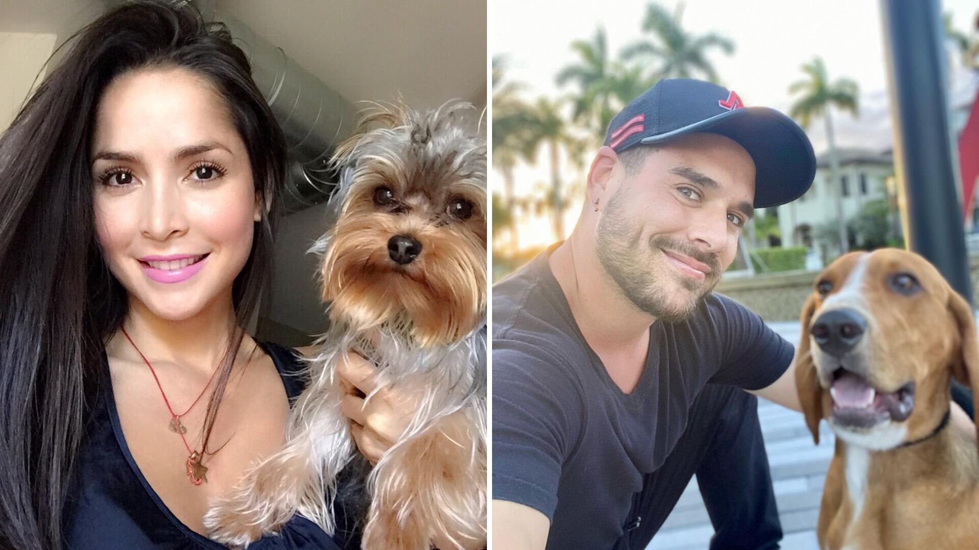 La actriz se quedó son las tres mascotas