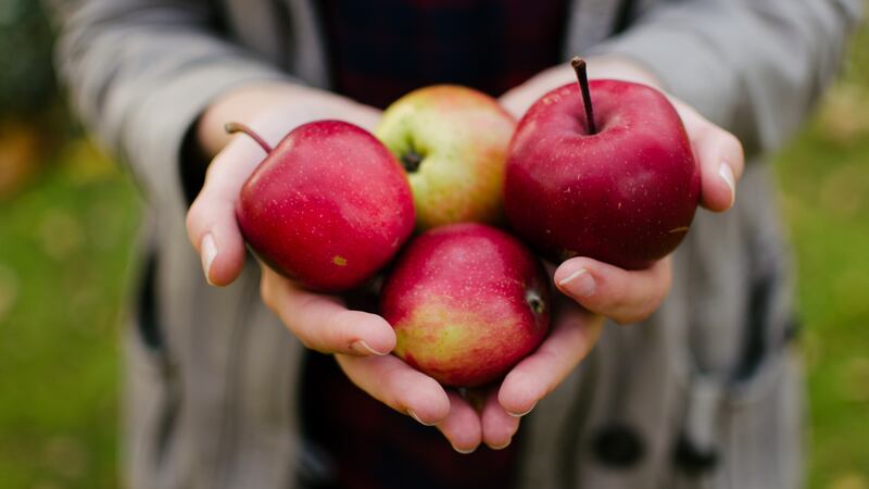 Manzanas