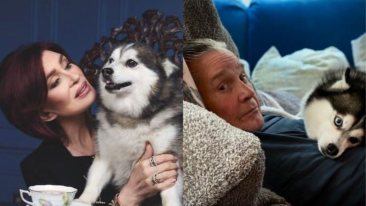 Sharon y Ozzy Osbourne con su perrito Elvis