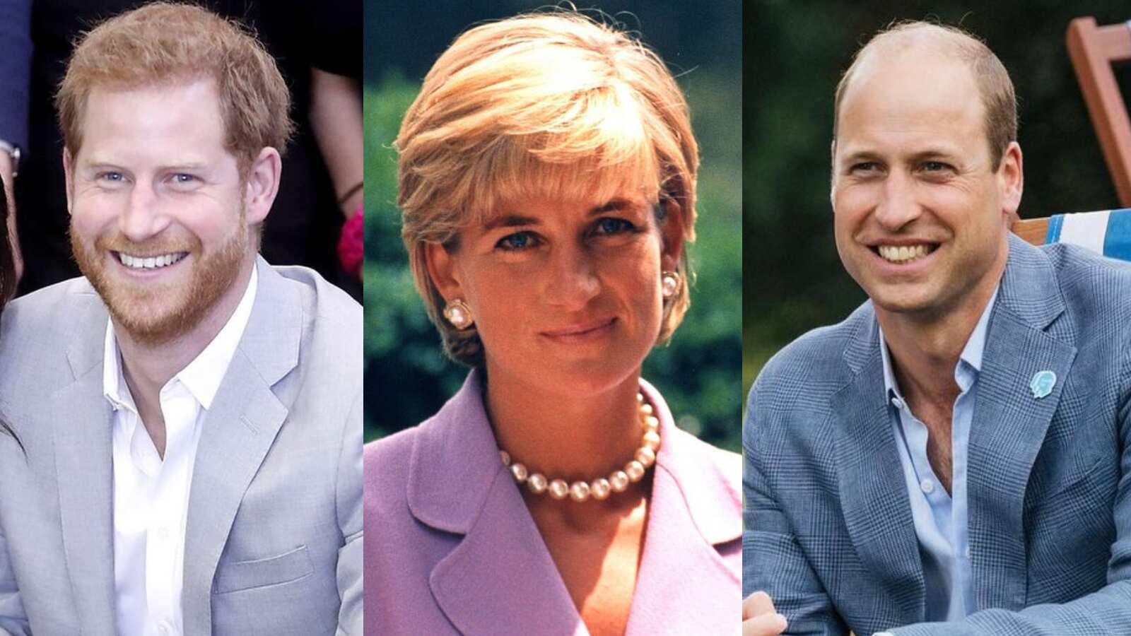 princesa diana última conversación hijos