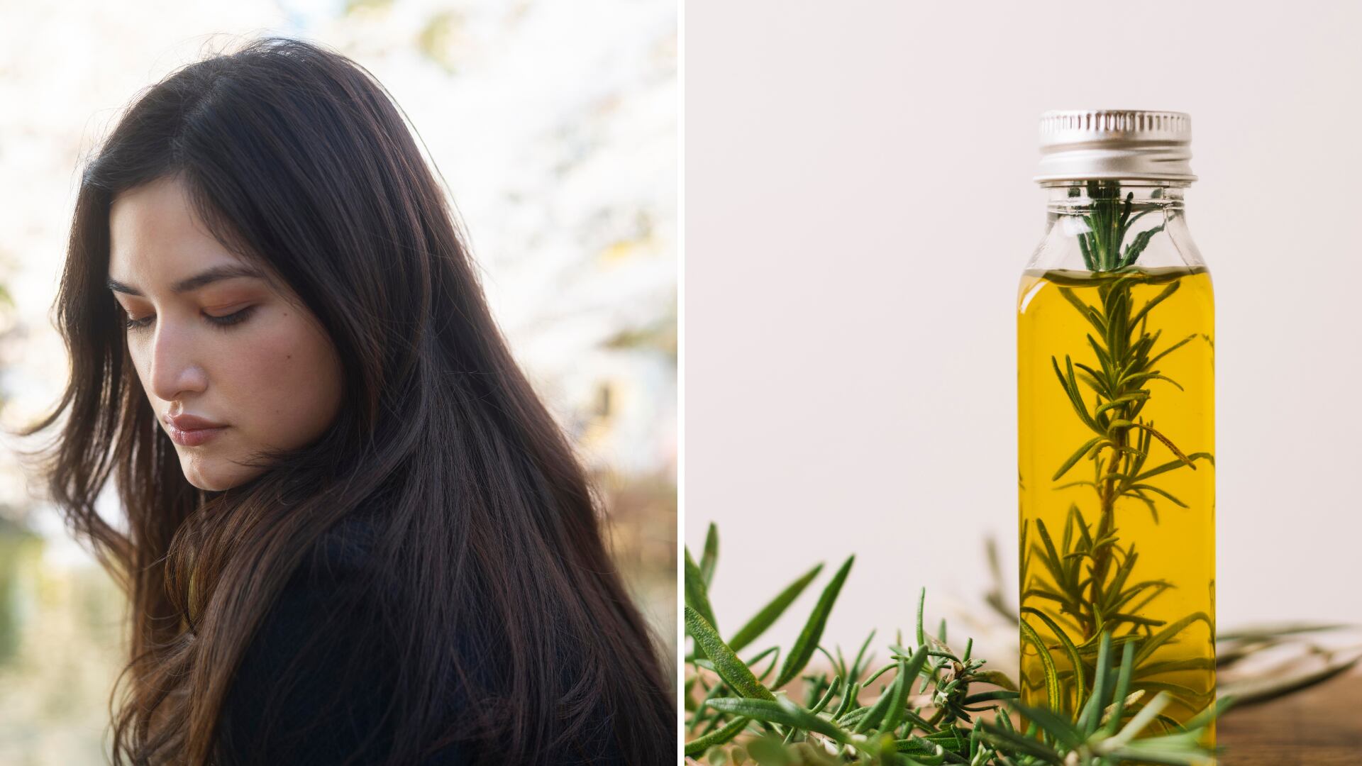 Tres mascarillas de romero para el crecimiento del cabello.