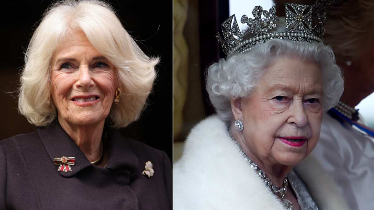 Camila Parker / Reina Isabel II