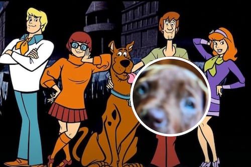 Así luce el adorable protagonista de la nueva serie live action de Scooby-Doo: fecha de estreno