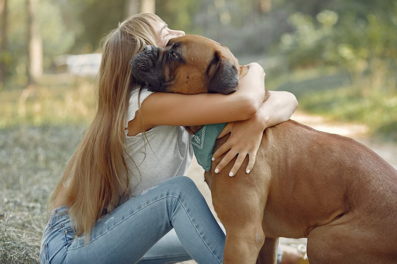 Impacto emocional de mascotas