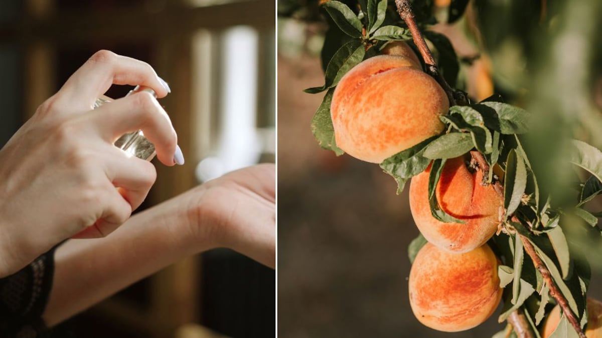 Los perfumes con olor a durazno son frescos, jugosos y sofisticados