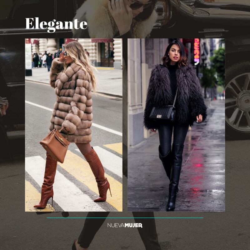Tendencia furry