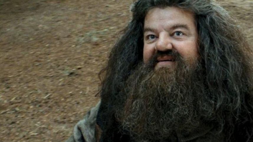 Hagrid (película) Foto: Warner Bros