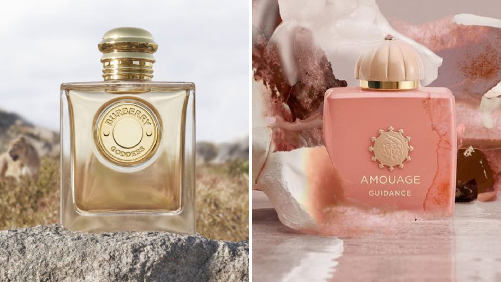 Los perfumes Goddess, de Burberry, y Guidance, de Amouage, fueron los favoritos por las mujeres durante el 2024 y seguirán triunfando en el 2025.