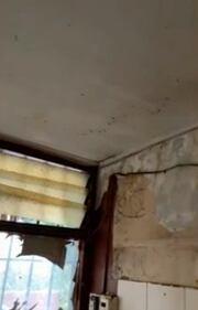 Clarisa Muñoz mostró cómo quedó la casa de sus padres tras arrendarla por 18 años