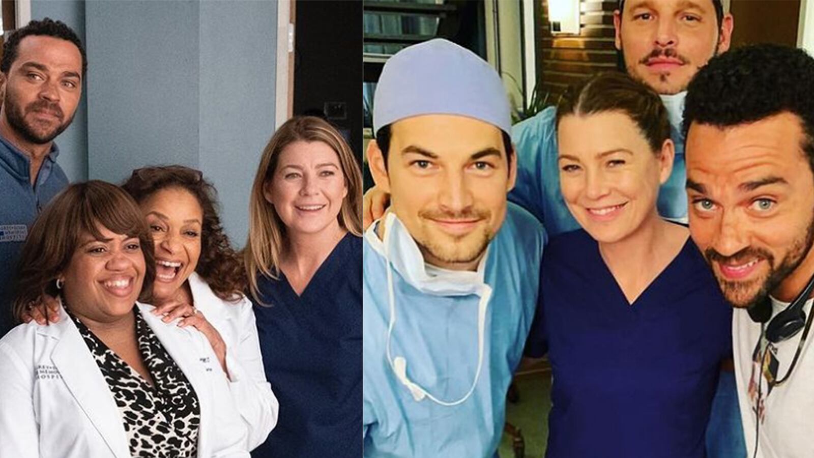 Greys Anatomy