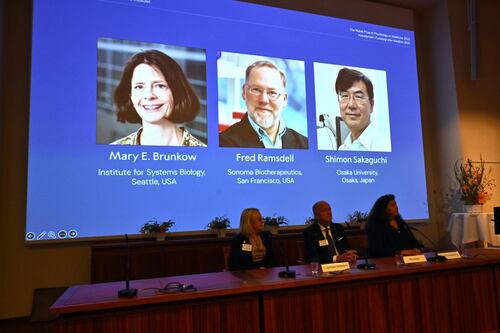 Nobel 2025: Premian a los científicos que identificaron el freno del sistema inmune para tratar el cáncer y la autoinmunidad