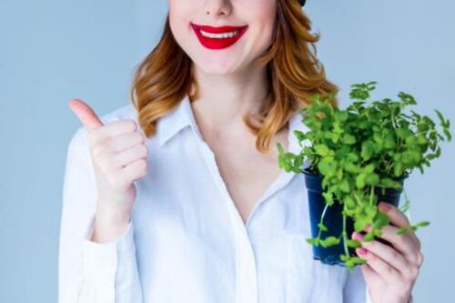 Orégano para adelgazar, más allá de sazonar las comidas