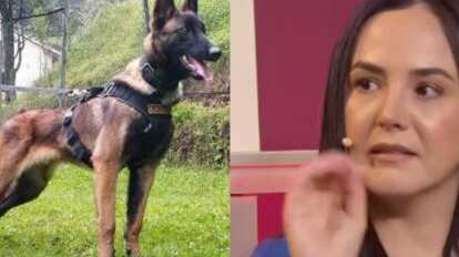 Mia Vanegas, la colombiana que afirma ‘hablar con animales’ y opinó sobre el perro Wilson