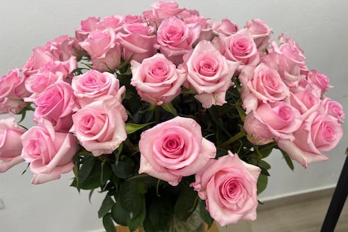 Ecuador exporta más de 28.000 toneladas de flores para que el mundo celebre el romanticismo de San Valentín