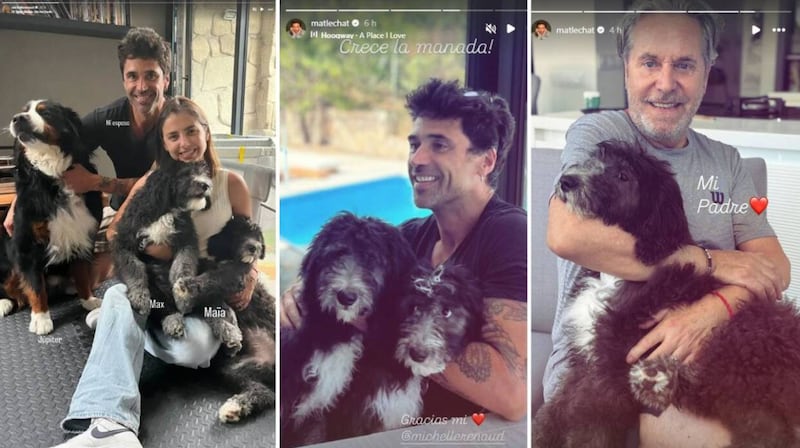 Michelle Renaud y Matías Novoa dan la bienvenida a los nuevos integrantes de la familia.