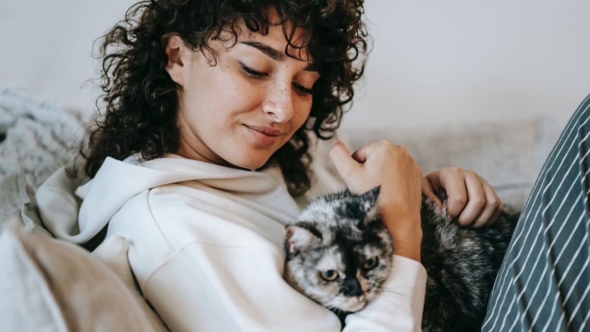 Netflix cuenta con producciones muy interesantes con gatos como protagonistas