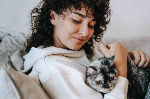 3 películas en Netflix sobre gatos: son ideales para ver en compañía de tu michi