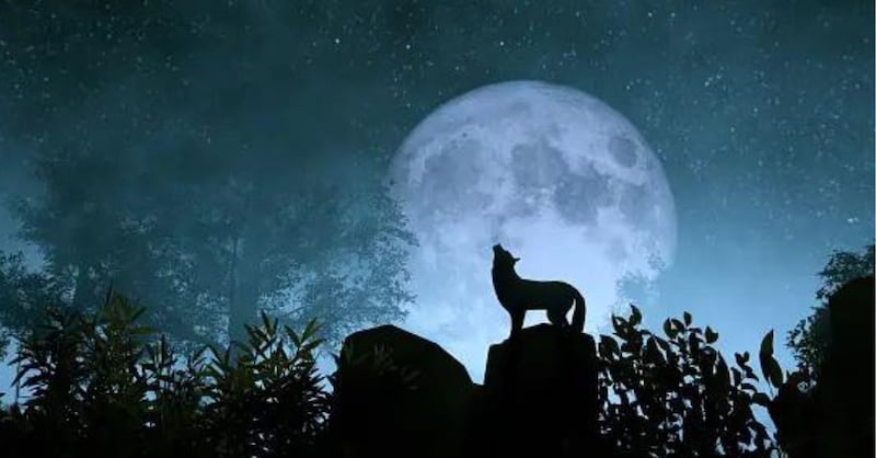 La Luna Llena de Lobo sorprenderá con su brillo: Cuándo es y por qué la llaman así