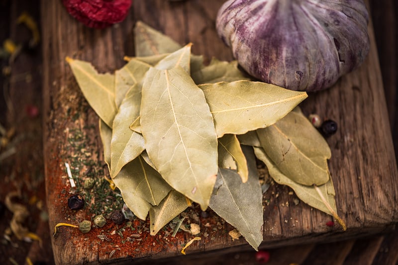 Cábala con hojas de laurel.