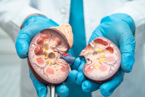 Guardianes silenciosos: Cómo transformar tu salud renal con pequeñas decisiones diarias