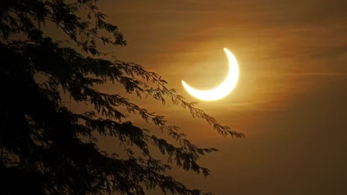 Del eclipse penumbral a la Luna de gusano: Los eventos astronómicos que impactaran el cielo en marzo