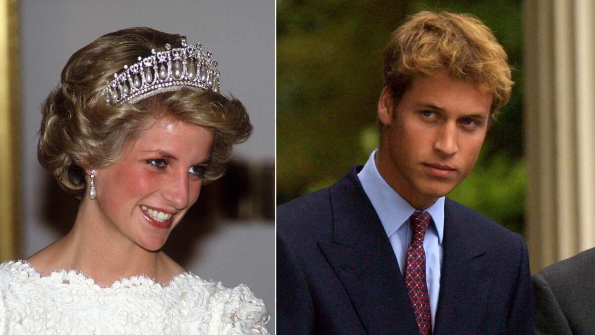 Princesa Diana y William