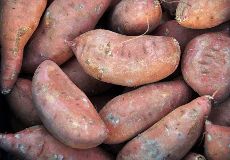 Batata morada