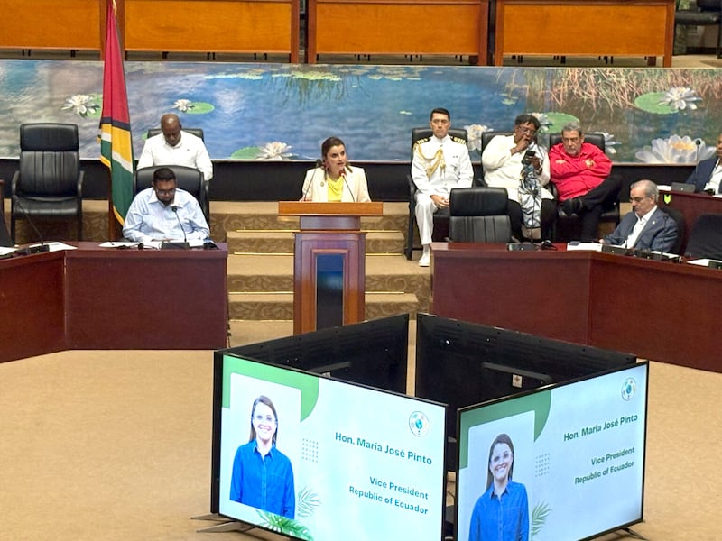 Pinto fue la encargada de representar al país en la sesión plenaria presidida por el mandatario anfitrión, Mohamed Irfaan Alí.