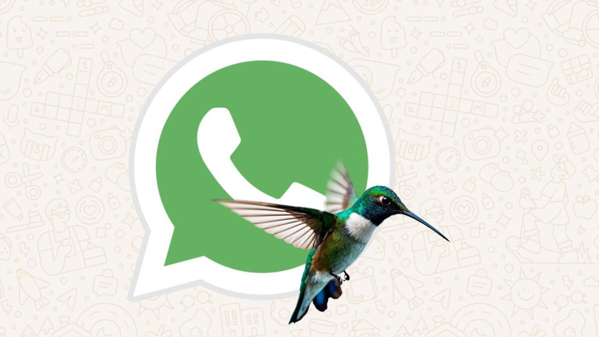 El "modo colibrí" en WhatsApp está cobrando popularidad entre los usuarios de la 'app'