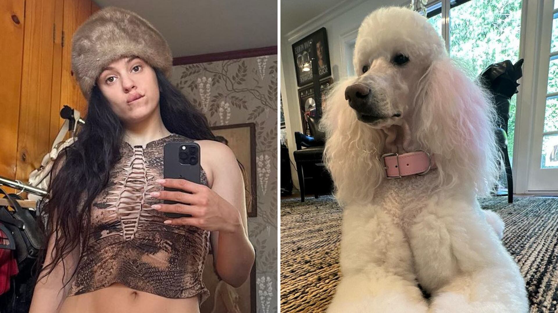 ¿Es maltrato animal? Rosalía desata debate tras presumir foto de su perrita con las uñas pintadas