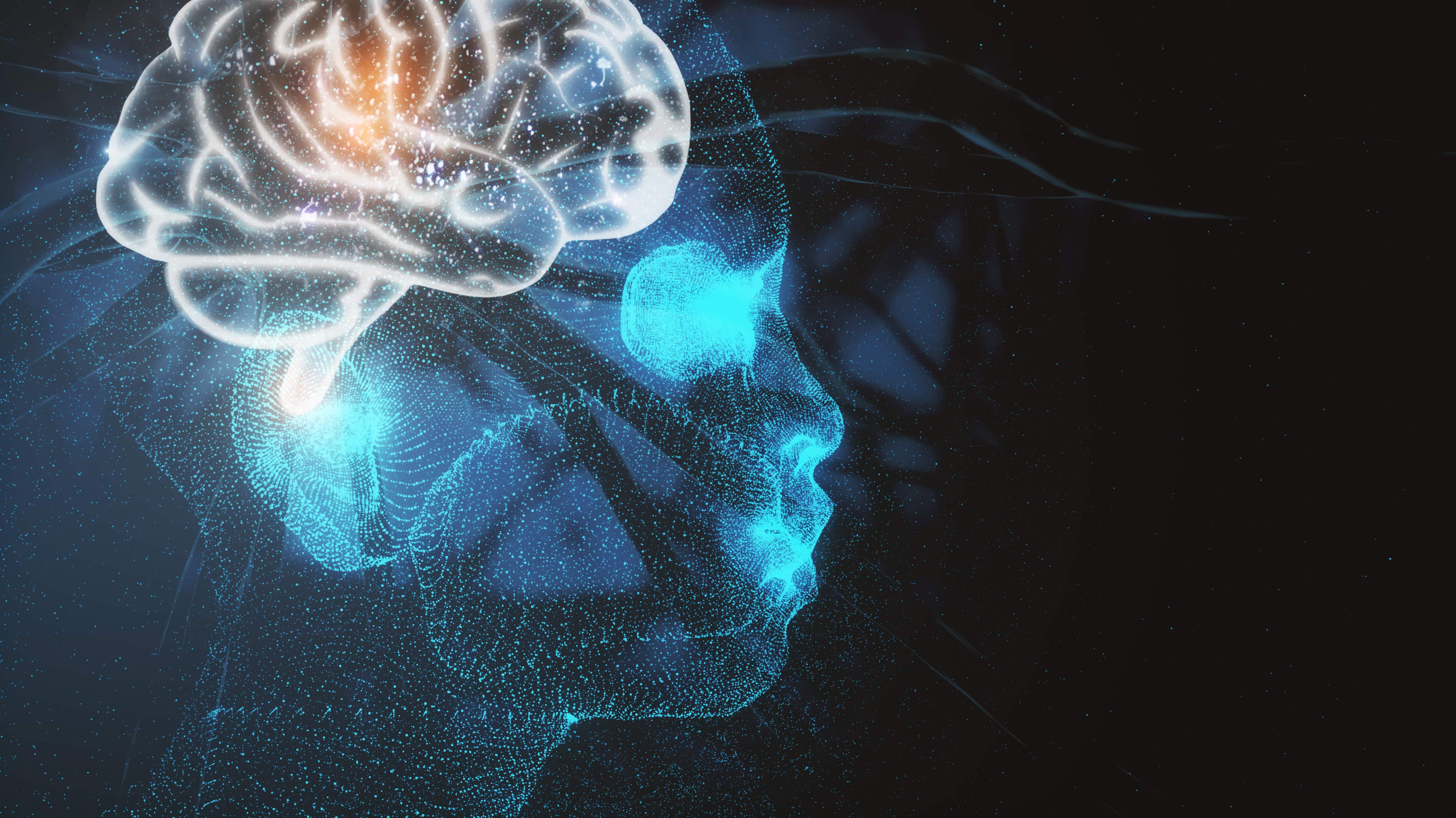 Orientación sexual con bases en el cerebro