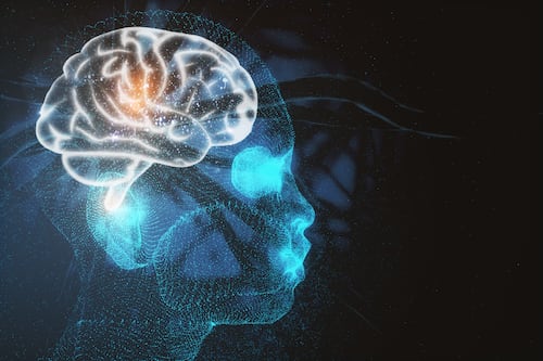 Nuevo análisis científico propone que la orientación sexual tendría bases en el cerebro