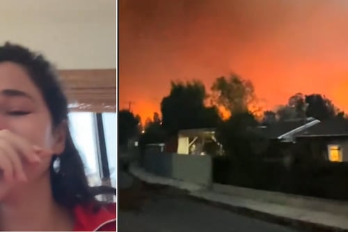 El emotivo gesto de un padre al rescatar  los peluches de su hija antes de evacuar en California para “regalárselos a sus nietos”