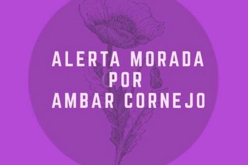 Alerta morada: el caso de Ámbar y otras 25 mujeres asesinadas por violencia de género este año