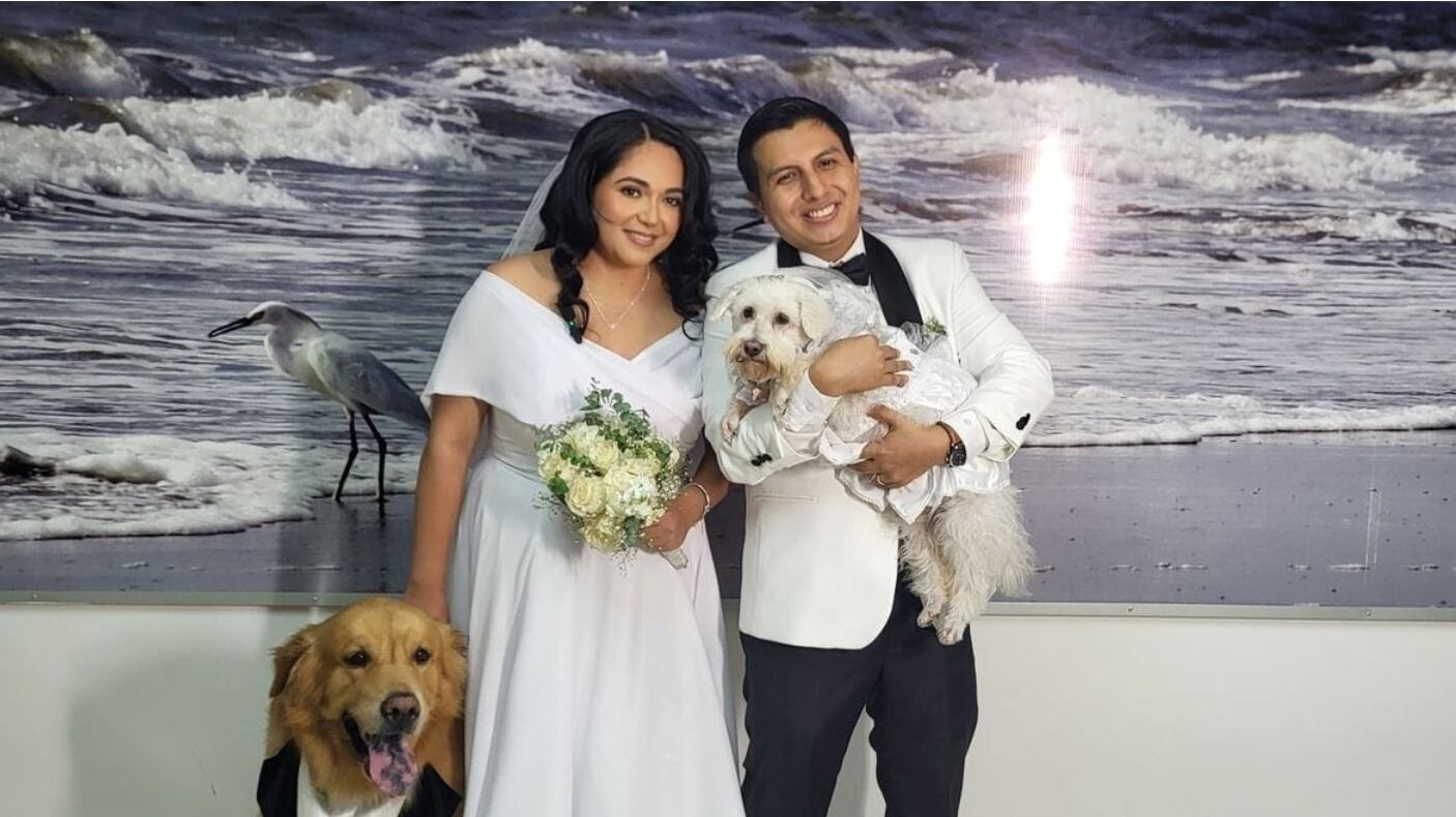 El Registro Civil de Ecuador es pet-friendly