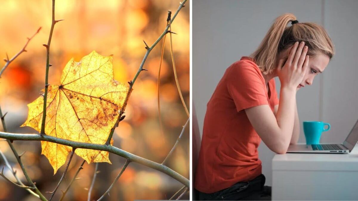 Zodiaco equinoccio de otoño